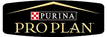 Купити Pro Plan