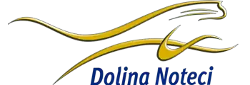 Купити Dolina Noteci