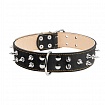 COLLAR - Нашийник для собак подвійний з шипами