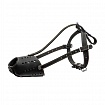 COLLAR - Намордник для стаффа, бультер'єра, добермана