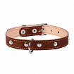 Нашийник Collar для собак подвійний з прикрасами
