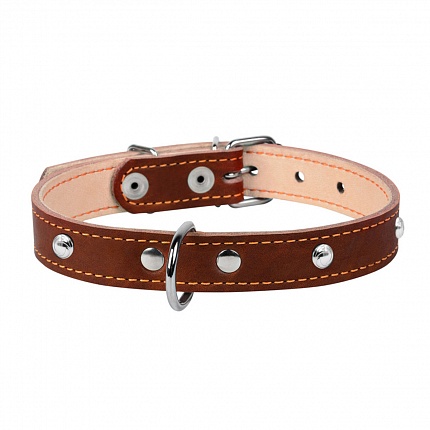 Нашийник Collar для собак подвійний з прикрасами купити KITIPES.COM.UA