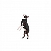 Курточка для собак Collar AiryVest ONE