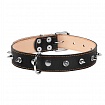 COLLAR - Нашийник для собак подвійний з шипами