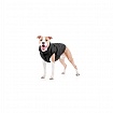 Курточка для собак Collar AiryVest ONE