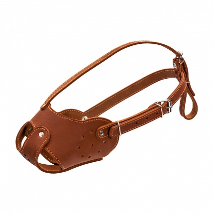 COLLAR - Намордник для стаффа, бультер'єра, добермана купити KITIPES.COM.UA