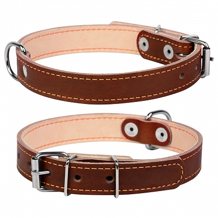 COLLAR - Нашийник для собак подвійний купити KITIPES.COM.UA