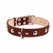 COLLAR - Нашийник для собак подвійний з прикрасами