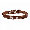 COLLAR - Нашийник для собак одинарний, маленький