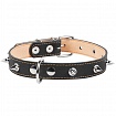 COLLAR - Нашийник для собак подвійний з шипами