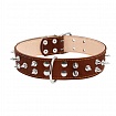 COLLAR - Нашийник для собак подвійний з шипами