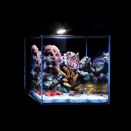Комплект Nano Marine Set 15 літрів купити KITIPES.COM.UA