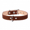 COLLAR - Нашийник для собак подвійний