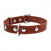 COLLAR - Нашийник для собак одинарний з прикрасами