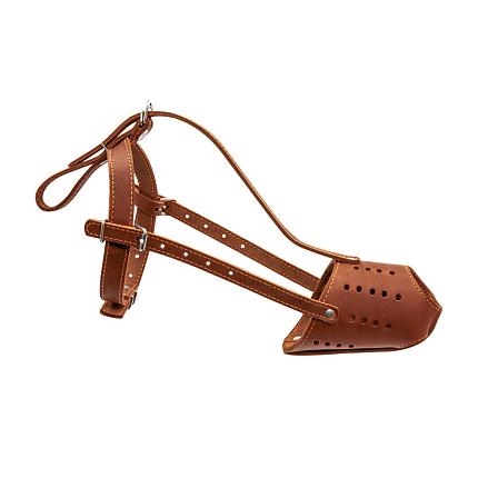 COLLAR - Намордник для стаффа, бультер'єра, добермана купити KITIPES.COM.UA