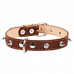 COLLAR - Нашийник для собак подвійний з шипами