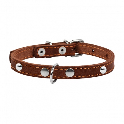 COLLAR -  Нашийник для собак одинарний з прикрасами купити KITIPES.COM.UA