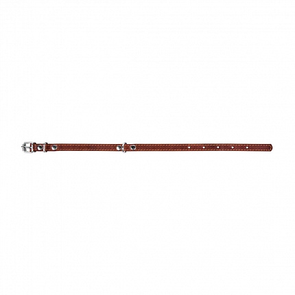 COLLAR - Нашийник для собак одинарний купити KITIPES.COM.UA