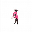 Курточка для собак Collar AiryVest ONE