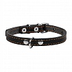 COLLAR - Нашийник для собак одинарний