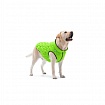 Collar Курточка двостороння AiryVest UNI