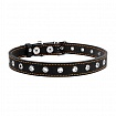 COLLAR - Нашийник для собаки безрозмірний