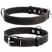 COLLAR - Нашийник для собак одинарний