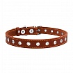 COLLAR - Нашийник для собаки безрозмірний