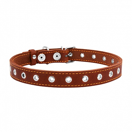 COLLAR - Нашийник для собаки безрозмірний купити KITIPES.COM.UA