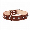 COLLAR - Нашийник для собак подвійний з шипами