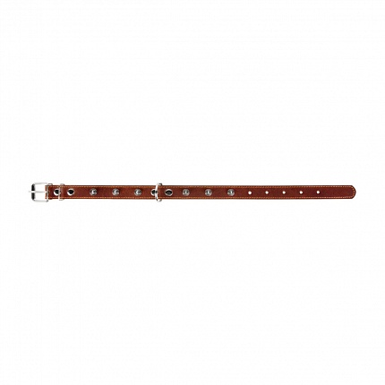 COLLAR - Нашийник для собак подвійний з шипами купити KITIPES.COM.UA