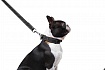Dog Extremе Повідець для собак з нейлону подвійний, довжина 122 см