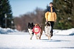 PitchDog (ПітчДог) Кільце для апортировки 