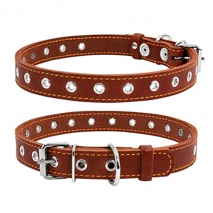 COLLAR - Нашийник для собаки безрозмірний купити KITIPES.COM.UA