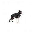 Курточка для собак Collar AiryVest ONE