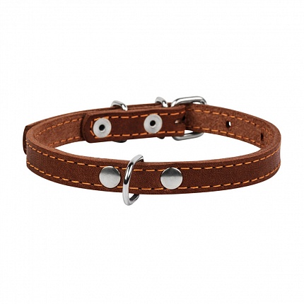 COLLAR - Нашийник для собак одинарний купити KITIPES.COM.UA