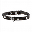 COLLAR -  Нашийник для собак одинарний з прикрасами