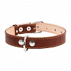 COLLAR - Нашийник для собак подвійний
