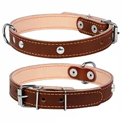 Нашийник Collar для собак подвійний з прикрасами