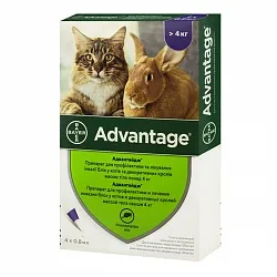 Advantage Краплі на холку від бліх для котів та гриузунів більше 4 кг