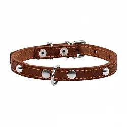 COLLAR -  Нашийник для собак одинарний з прикрасами