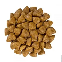 Royal Canin Renal Feline Лікувальний корм для котів
