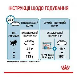 Royal Canin Mini Starter Сухий корм для собак дрібних порід в період вагітності і лактації