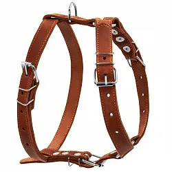 COLLAR - Шлея одинарна для середніх собак