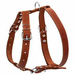 COLLAR - Шлея одинарна для середніх собак