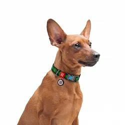 Нашийник для собак нейлоновий WAUDOG Nylon з QR, Шотландка зелена, пластиковий фастекс