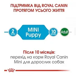 Royal Canin Puppy Mini Сухий корм для цуценят малих порід