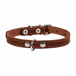 COLLAR - Нашийник для собак одинарний, маленький