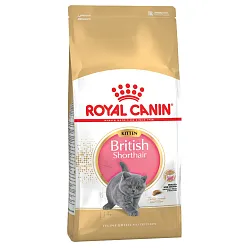 Royal Canin British Shorthair Kitten Корм для кошенят породи британська короткошерста