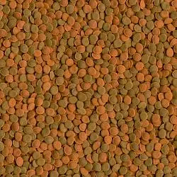 Tetra Wafer Mix Корм для больших донных рыб и ракообразных
